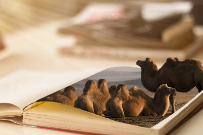 南開大學在職研究生 南開大學在職研究生