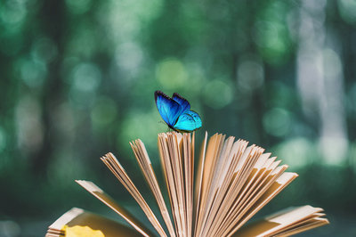 南開大學(xué)在職研究生