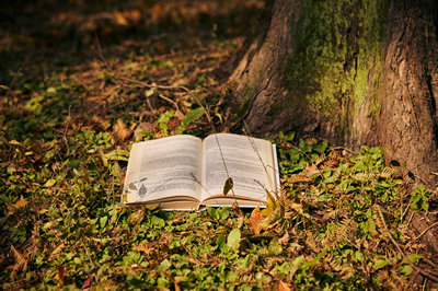南開大學在職研究生