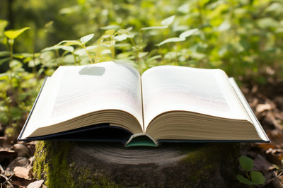 南開(kāi)大學(xué)金融學(xué) 南開(kāi)大學(xué)金融學(xué)