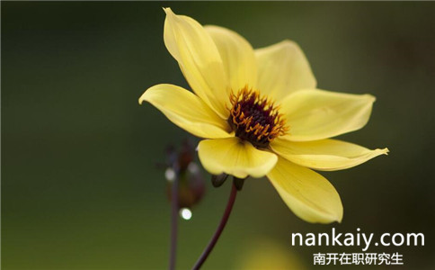 南開大學法學在職研究生學費是多少