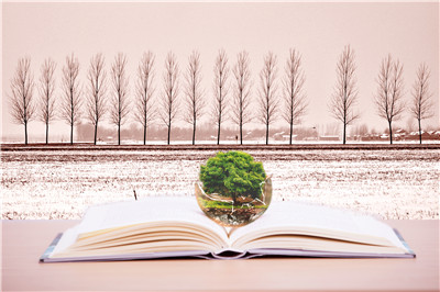 南開大學在職研究生 南開大學在職研究生