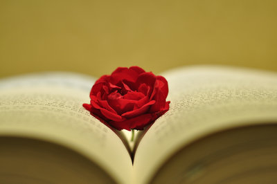 南開大學在職研究生 南開大學在職研究生