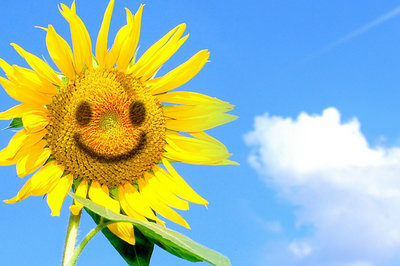 南開大學在職研究生 南開大學在職研究生