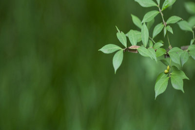 南開大學在職研究生 南開大學在職研究生