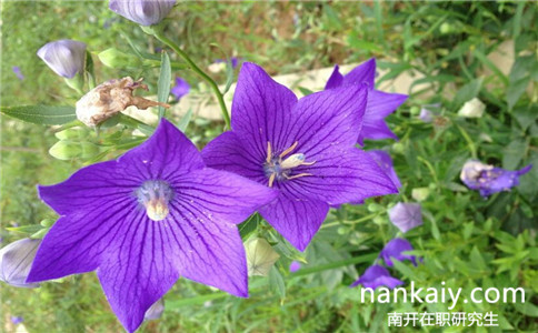 在職老師可以考南開大學在職研究生嗎