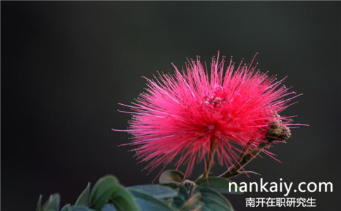 南開大學在職研究生是每周都上課嗎