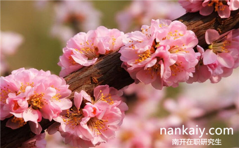 2017年南開大學(xué)在職研究生招生情況