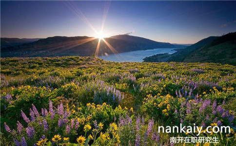 南開大學在職研究生有在上海開班嗎