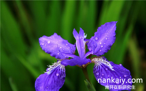 2017年南開(kāi)大學(xué)同等學(xué)力申碩考試科目有哪些呢