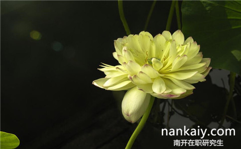 2017年南開大學(xué)同等學(xué)力申碩在職研究生報(bào)名時(shí)間