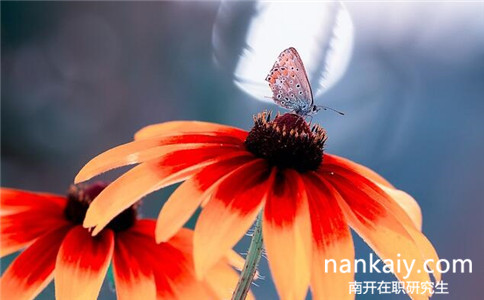 報考南開大學(xué)在職研究生有年齡要求嗎