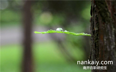 南開大學哪些經濟類專業可以招在職研究生