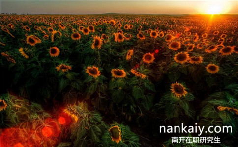 南開大學在職研究生 南開大學在職研究生