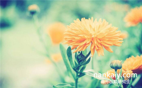 南開大學(xué)在職研究生 南開大學(xué)在職研究生