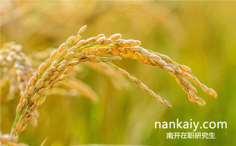 南開大學(xué)在職研究生