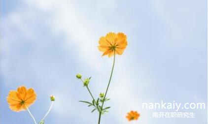 南開大學在職研究生 南開大學